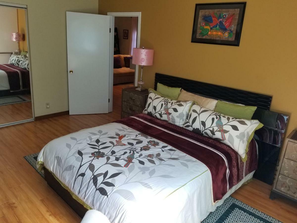 Luxury 2Br/1Ba Oasis In San Jose Caヴィラ エクステリア 写真