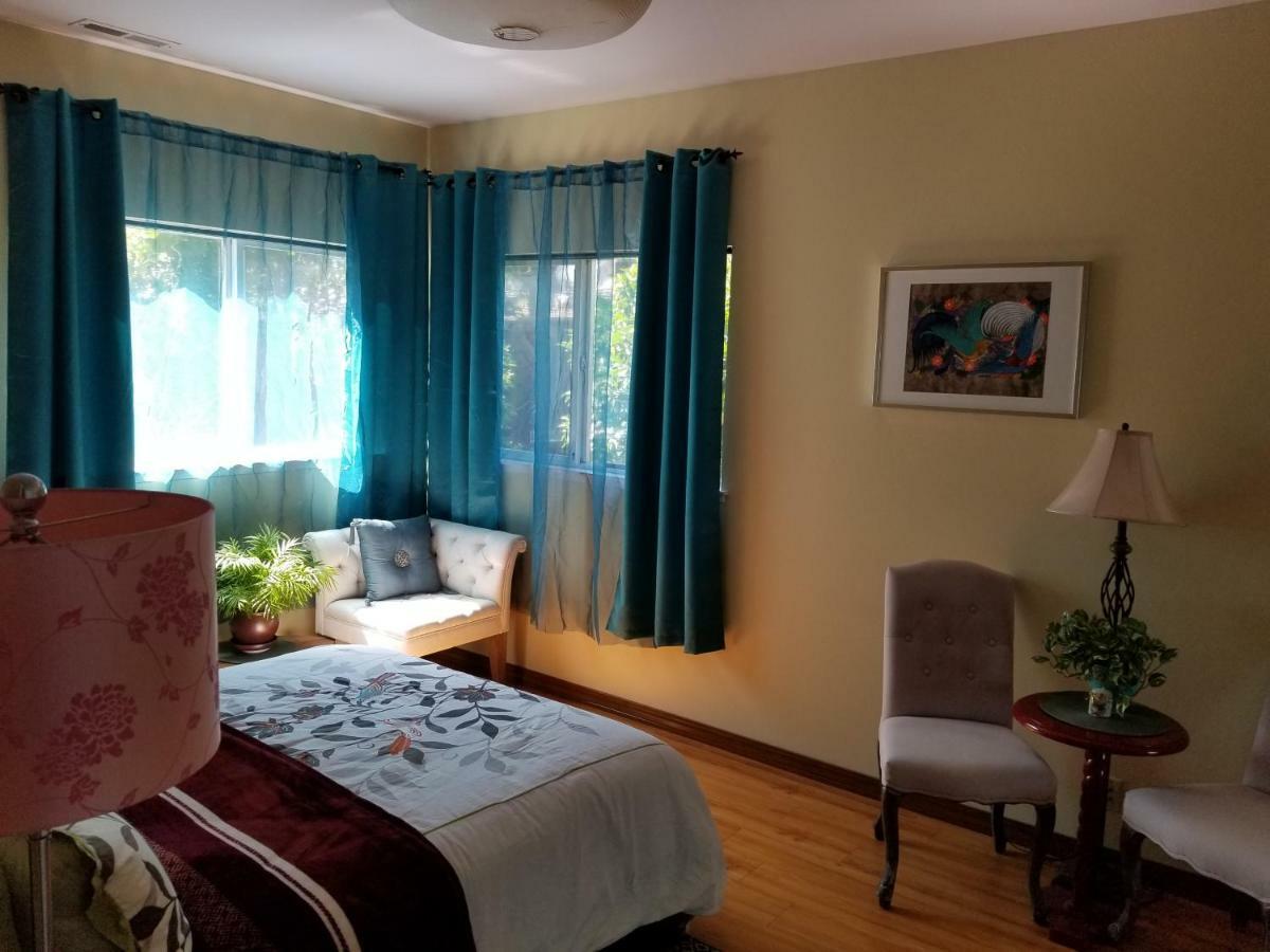 Luxury 2Br/1Ba Oasis In San Jose Caヴィラ エクステリア 写真