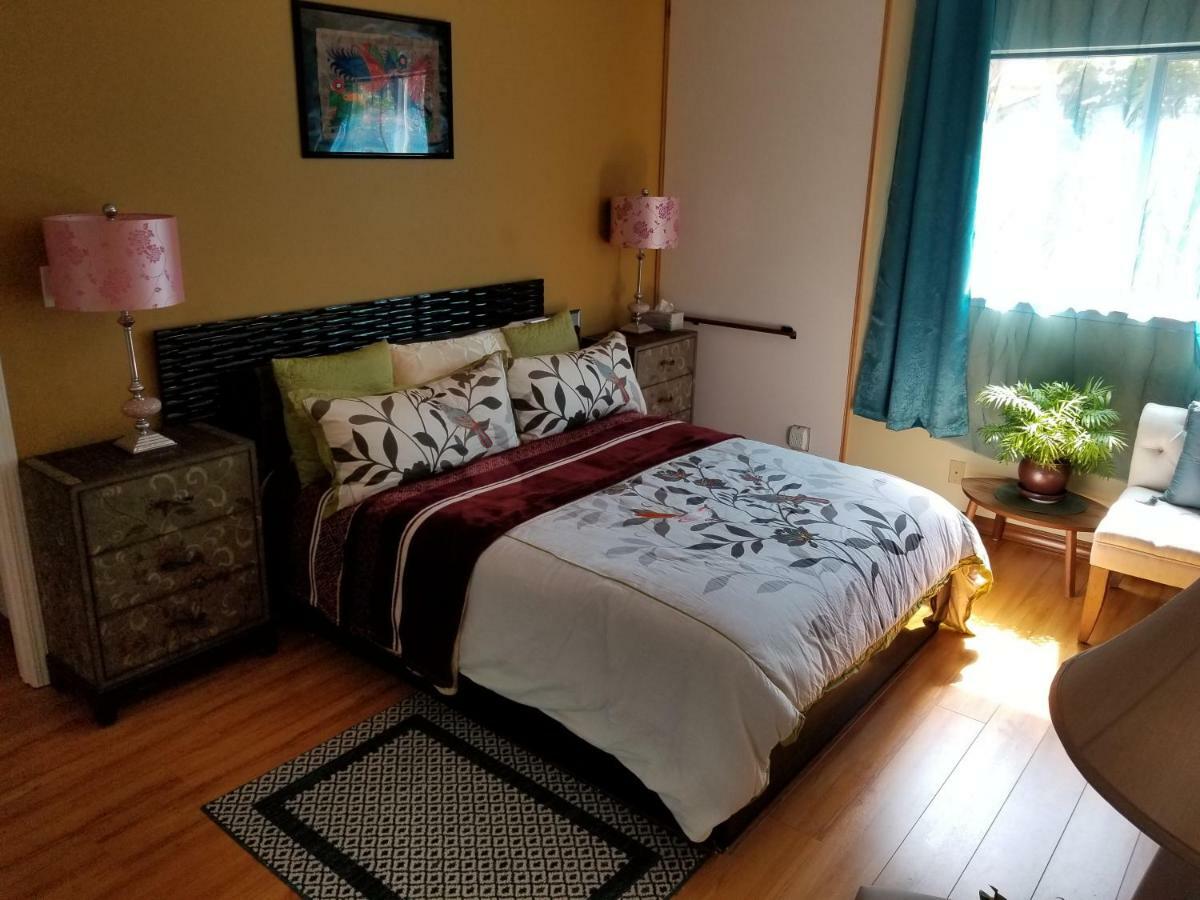 Luxury 2Br/1Ba Oasis In San Jose Caヴィラ エクステリア 写真
