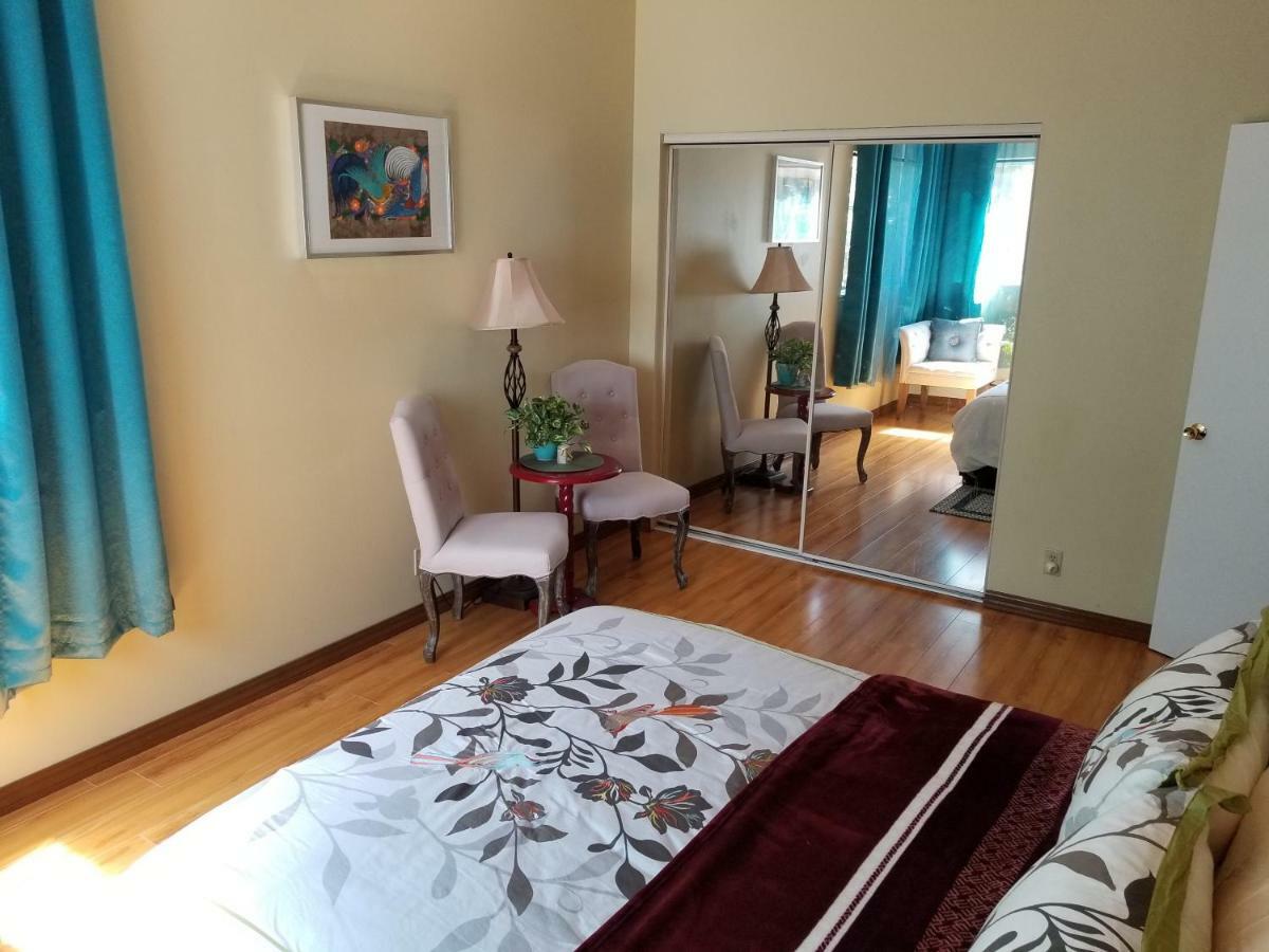 Luxury 2Br/1Ba Oasis In San Jose Caヴィラ エクステリア 写真